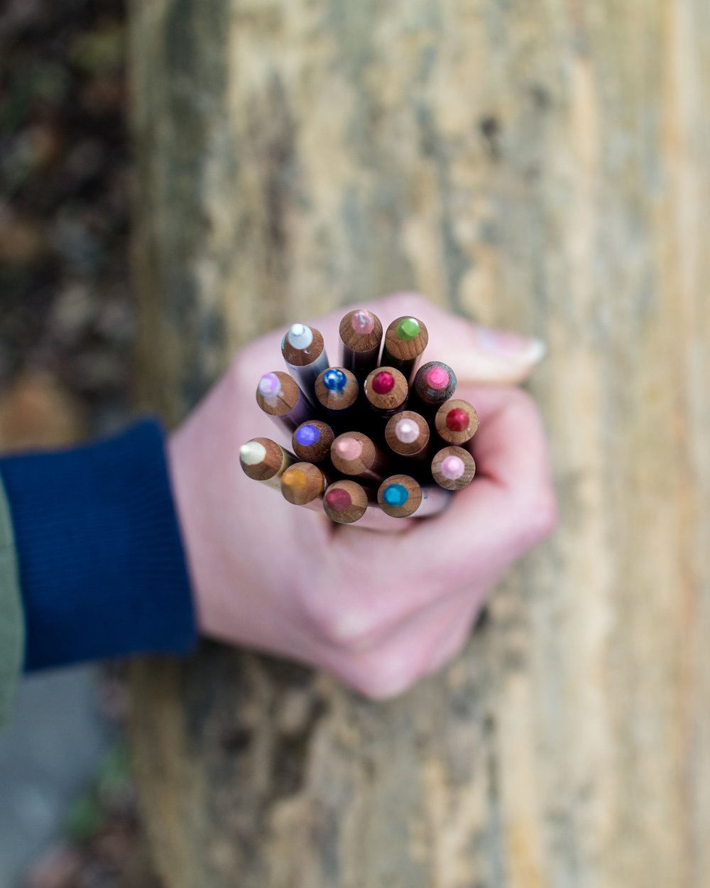  Hand holding a bunch of coloured pencils. 