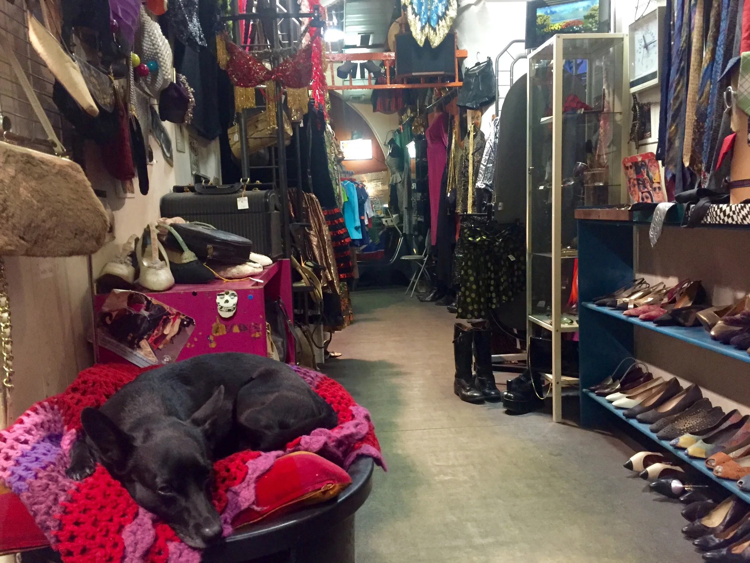 The ever watchful dog on crochet at Vestiti Usati Cinzia 
