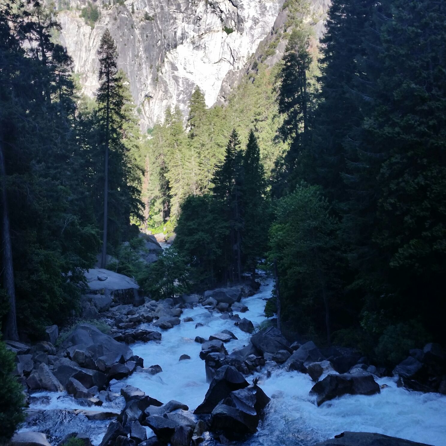 IMG-20170726-WA0044.jpg