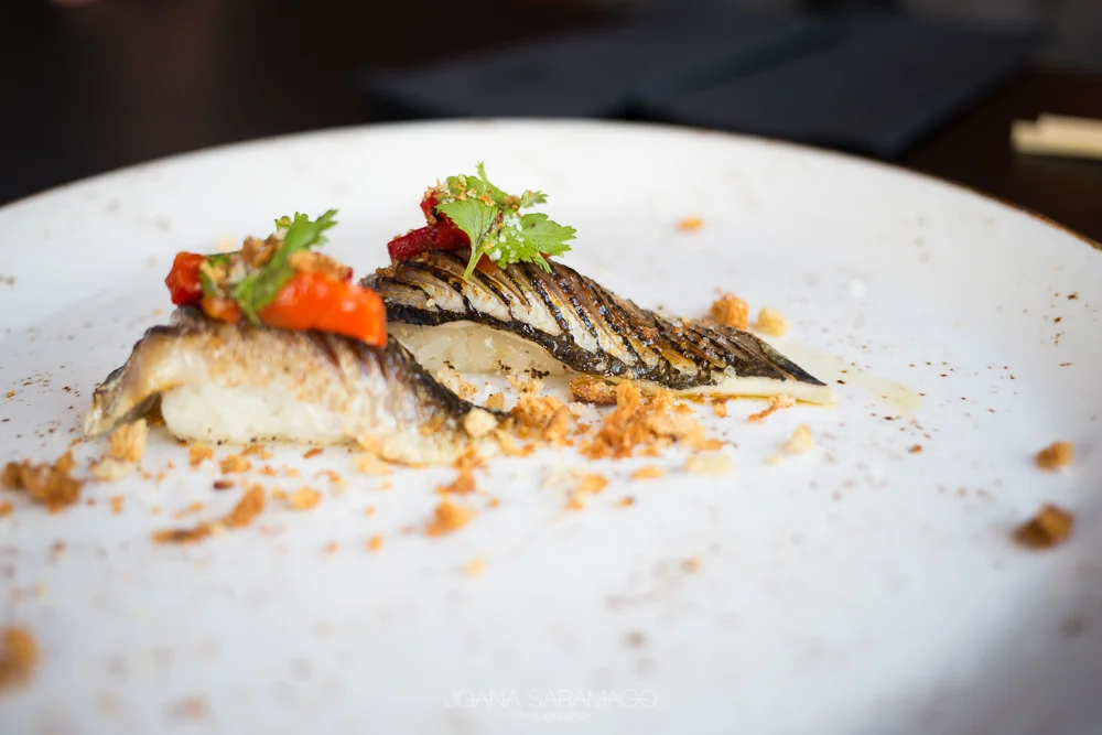 Sushic_Set2017_JSR__05.jpg
