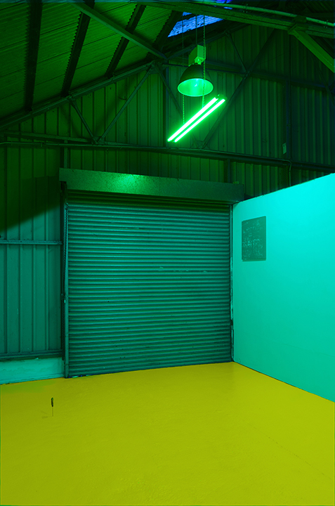 Philip Newcombe's Dolph Project Exhibition