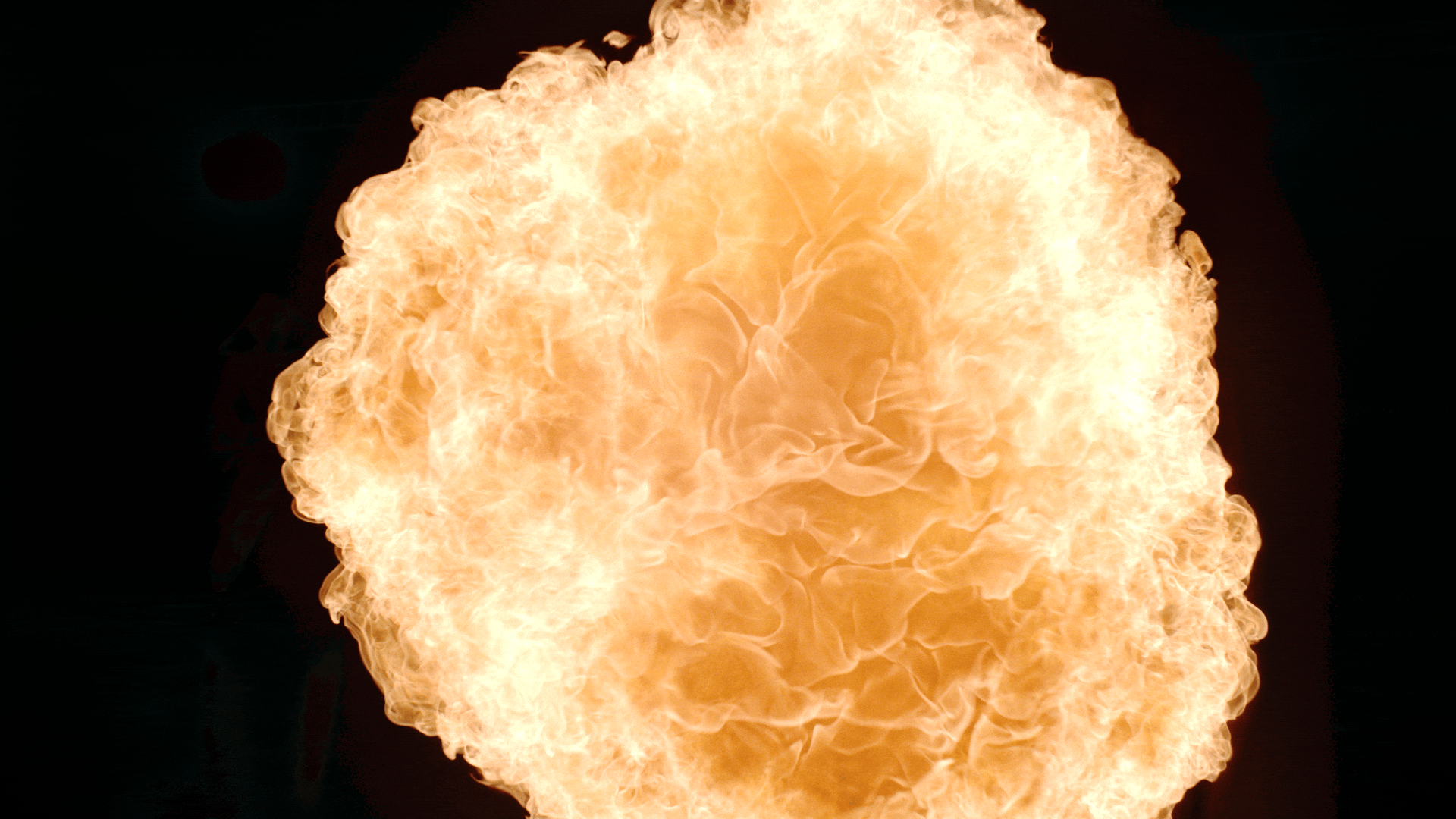 Love_Island_S11_Promo_40_CS 2.gif