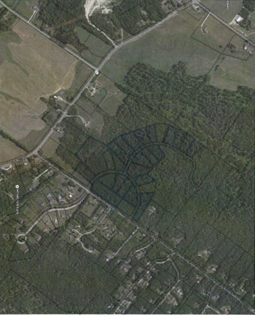 Screen Shot 2020-09-09 at 8.22.45 PM.png