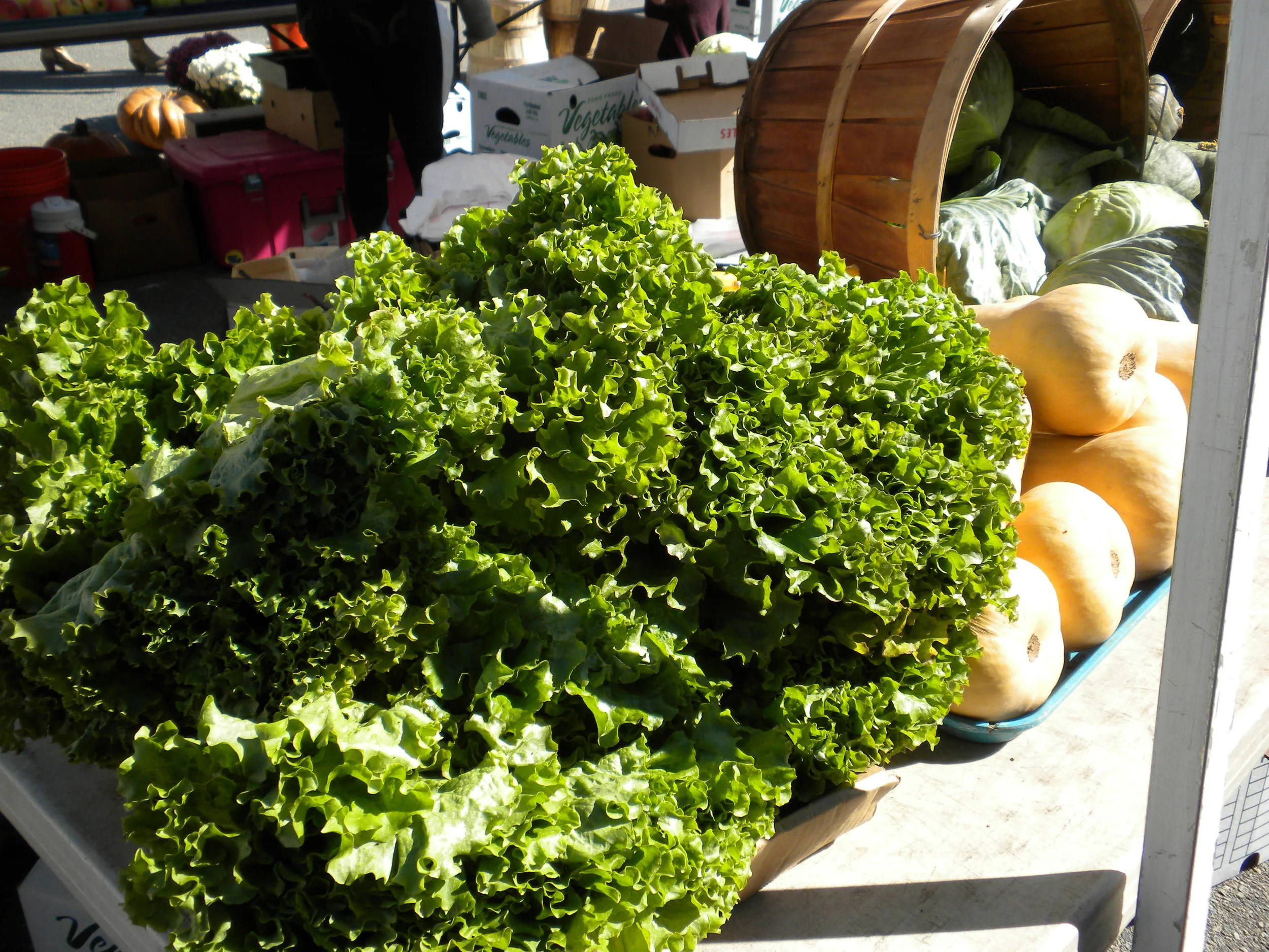 Storing Fruits and Vegetables