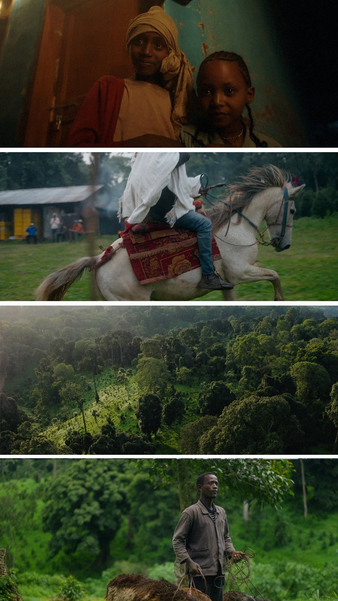 Desta Vertical stack 02.jpg