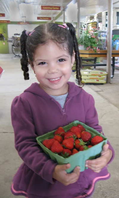 Berries of all kinds grow well in the Rondout Valley climate