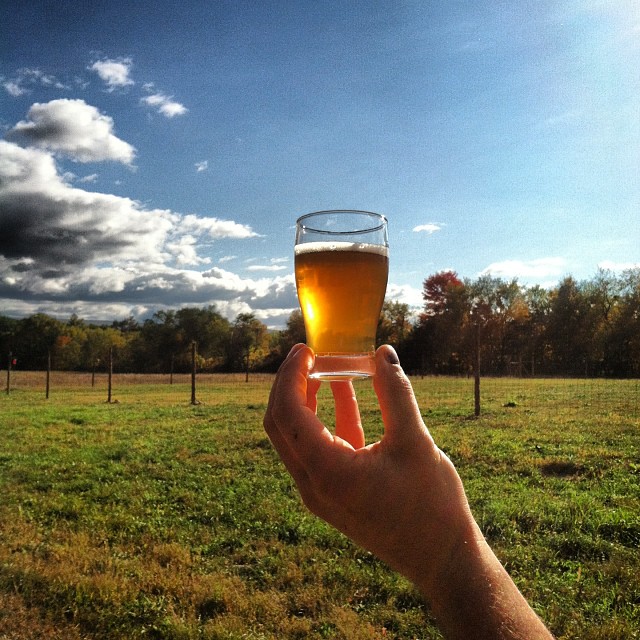 farm-grown hops are used in arrowood farms farm brewery's beer
