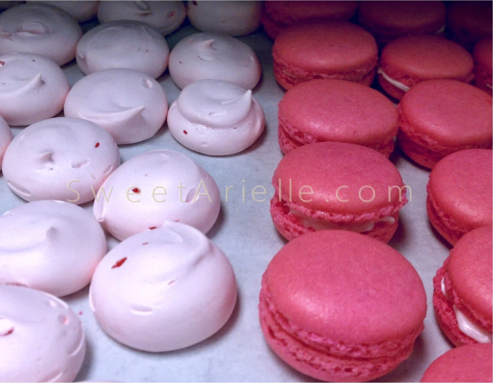Macaron 2a.jpg