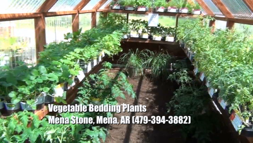 Plant Nursery - Vegetable Bedding Plants & Mulch