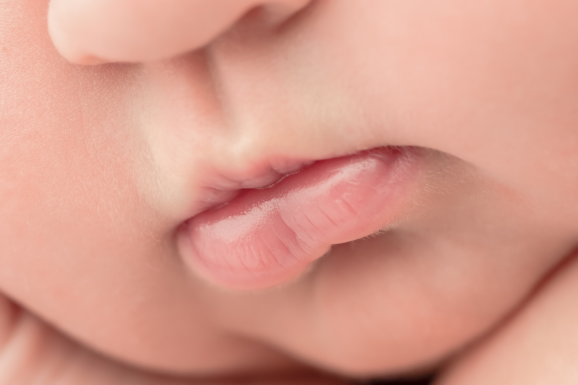 Macro Newborn Photography