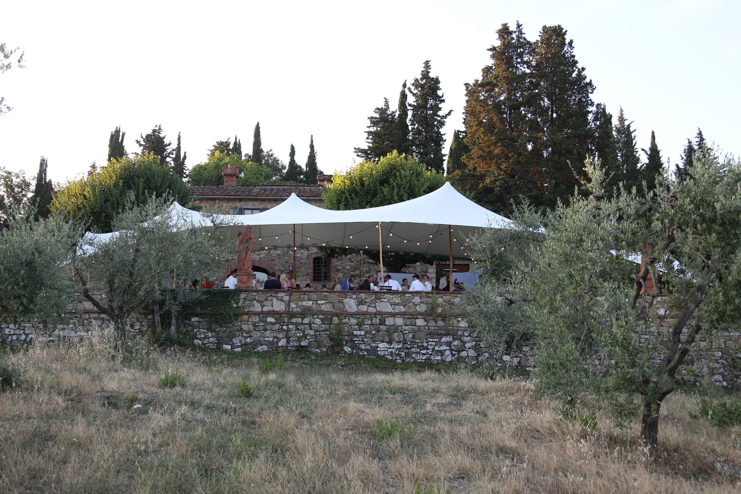 The Tuscany Wedding_vineyard676.JPG