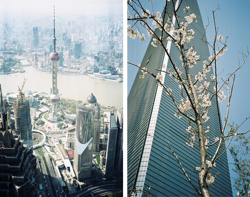 Lost in the Archives 