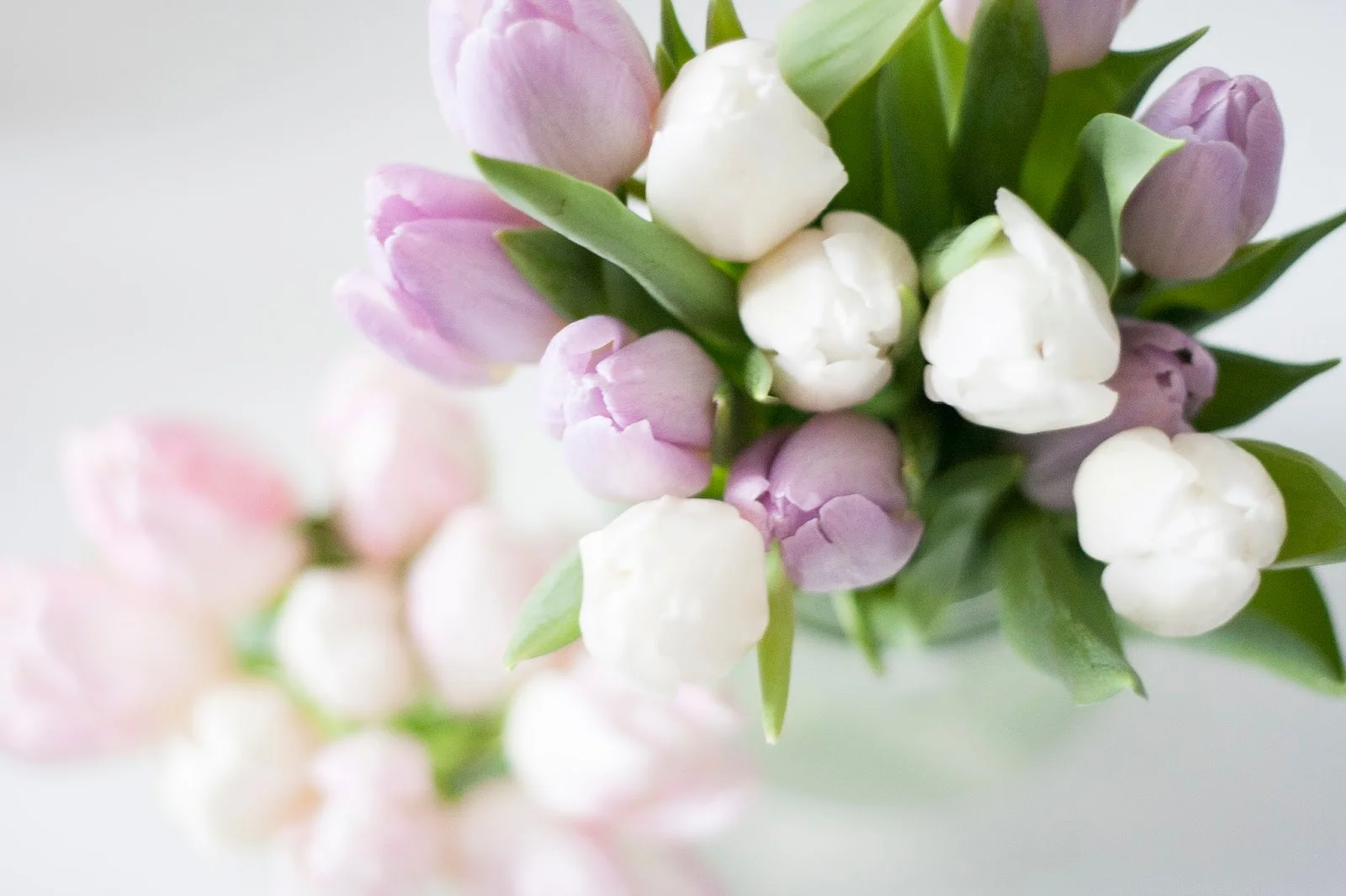 The joy of fresh flowers 