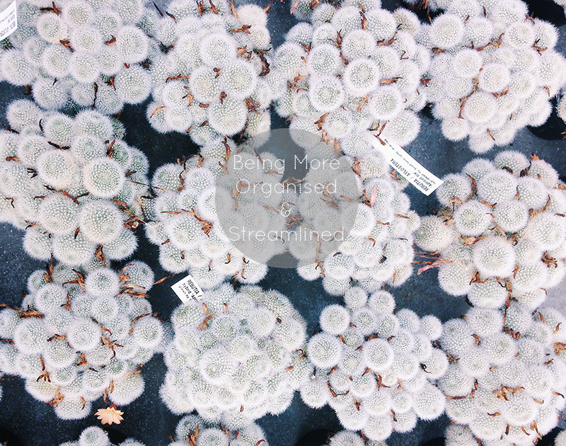 Being More Organised & Streamlined 