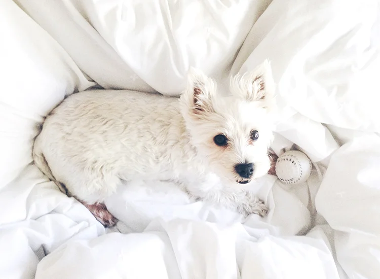 15 Ways To Feel More Positive 