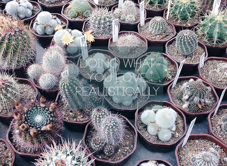 Doing What You Love: Realistically 