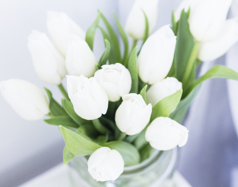 The Best Not So Guilty Pleasures In Life 