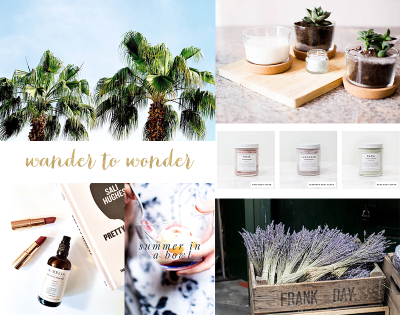 Introducing The Advertisers #16 