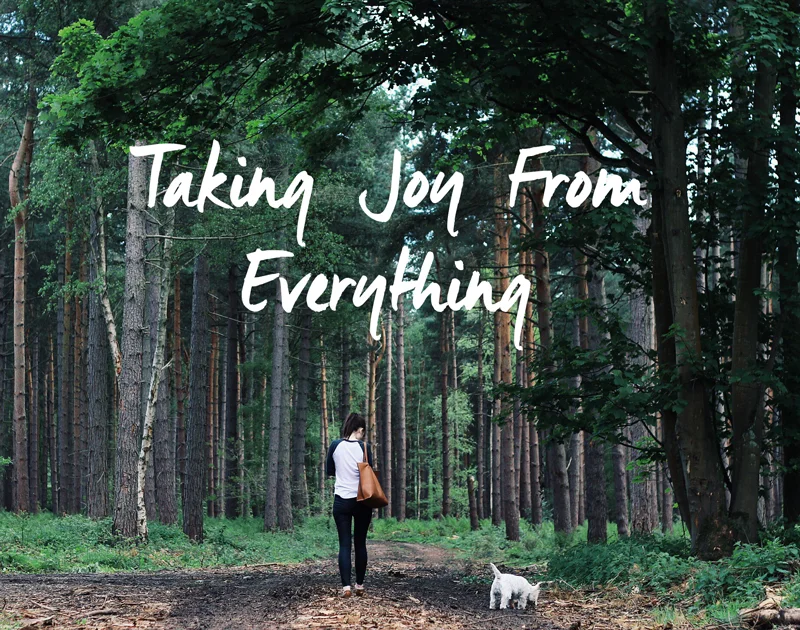 Taking Joy From Everything 