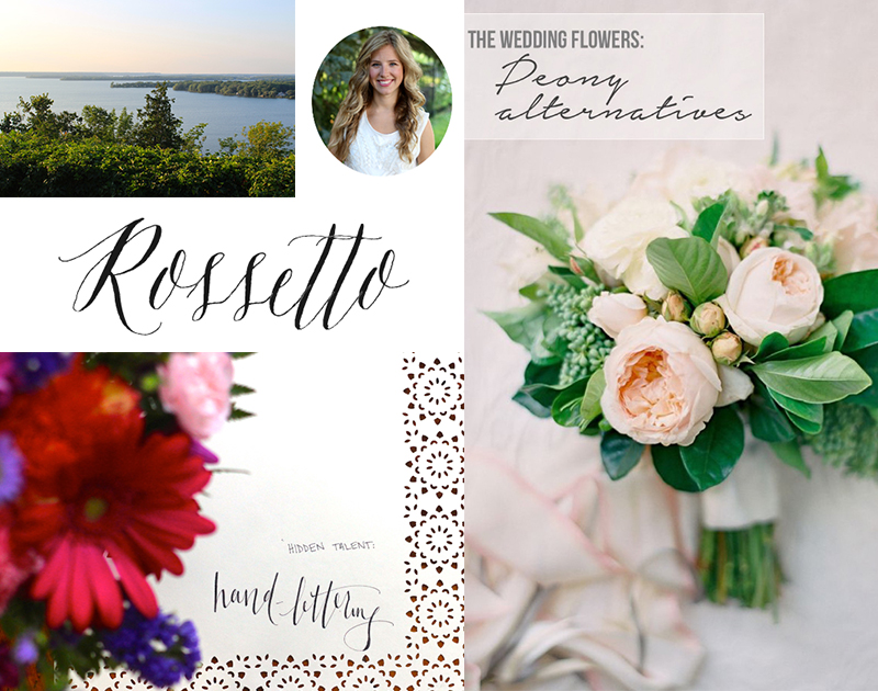 Introducing Emily From The Rossetto Blog 