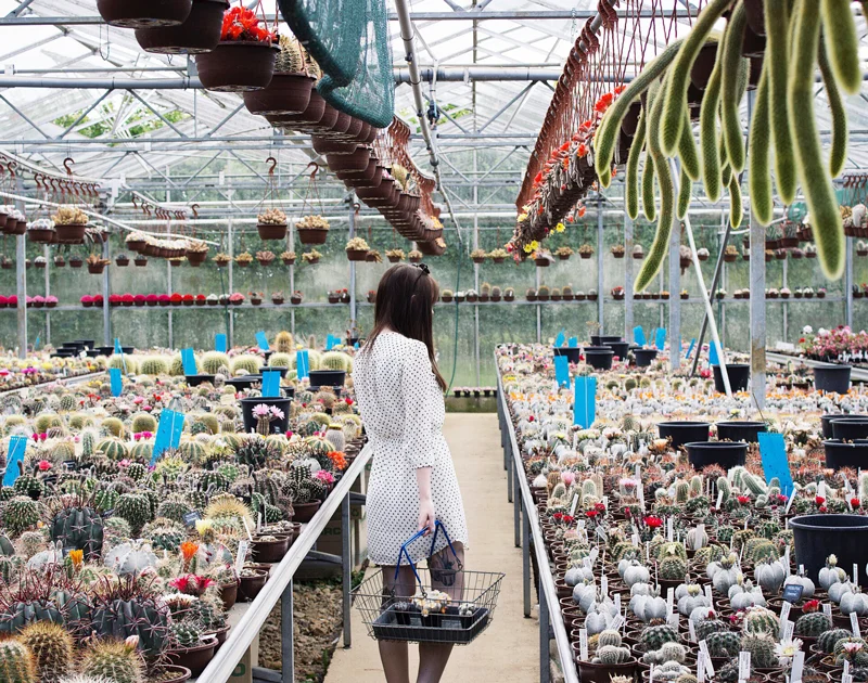 15 Things To Do When You're Saving Money