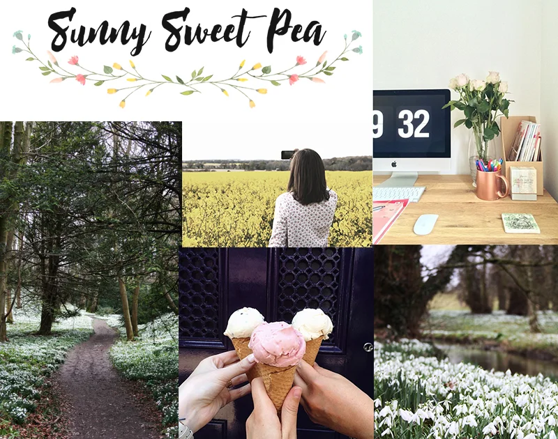 Introducing Jenny From Sunny Sweet Pea