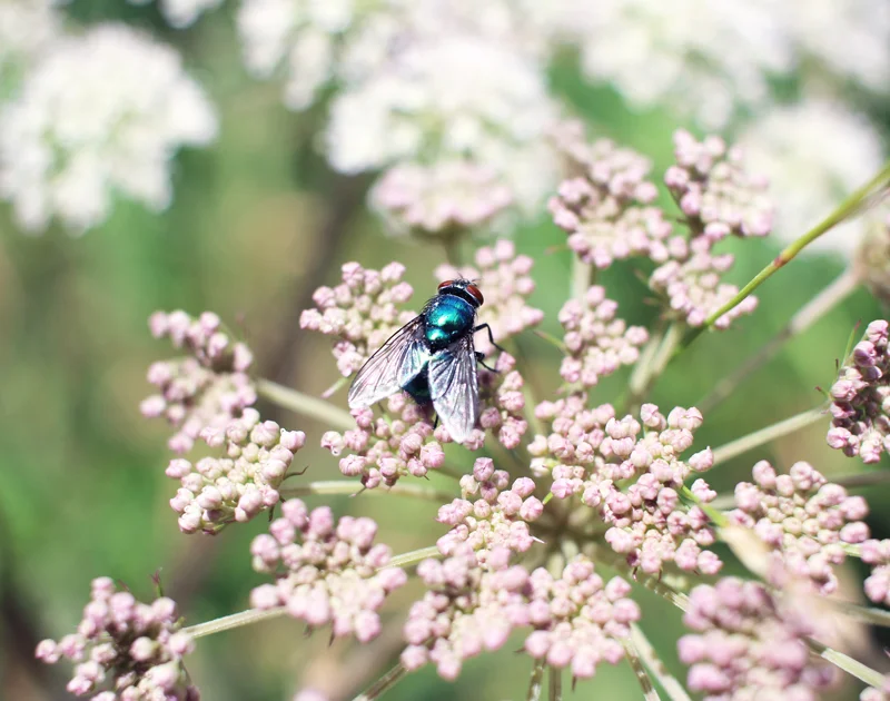 Invaluable Lessons Learnt From Taking Time Off 