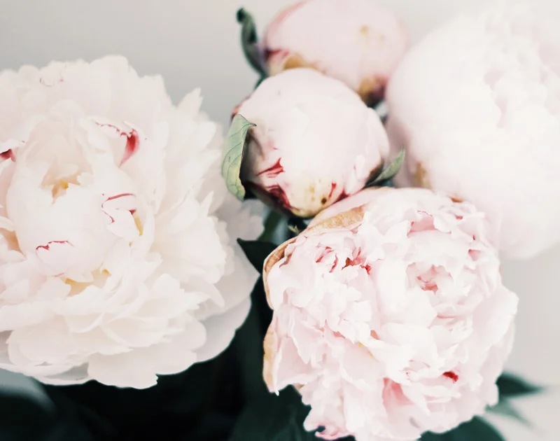 14 Things To Remember When You're Feeling Stressed