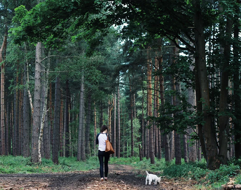 What To Do When You're Completely Burnt Out 