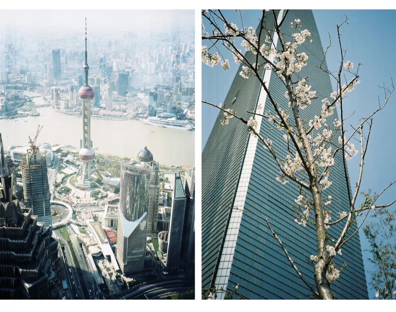 An Easy Guide To Taking Awesome Pictures 