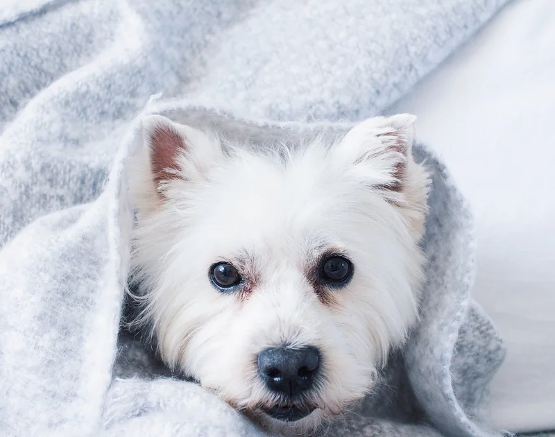 Things To Do When You're In A Bad Mood 