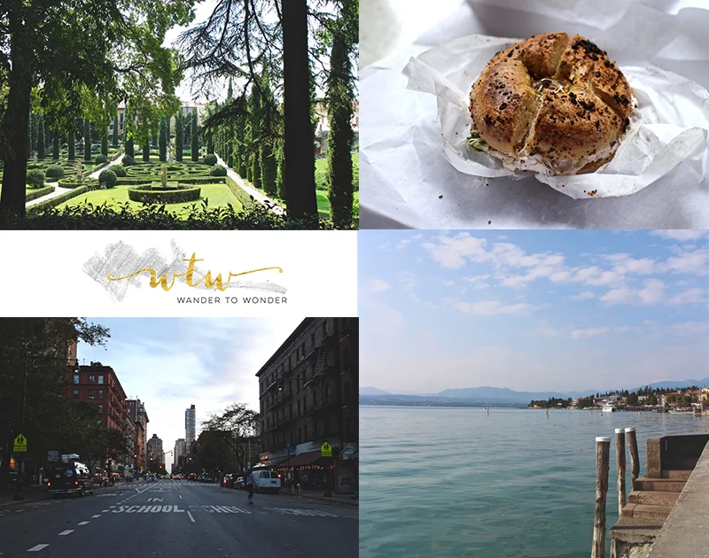 Introducing Miho From Wander To Wonder