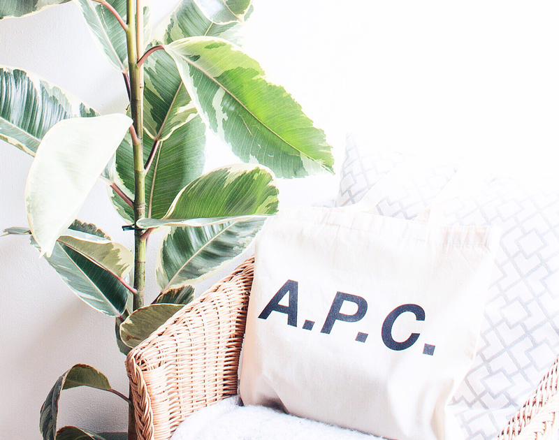 10 Daily Tote Bag Essentials 