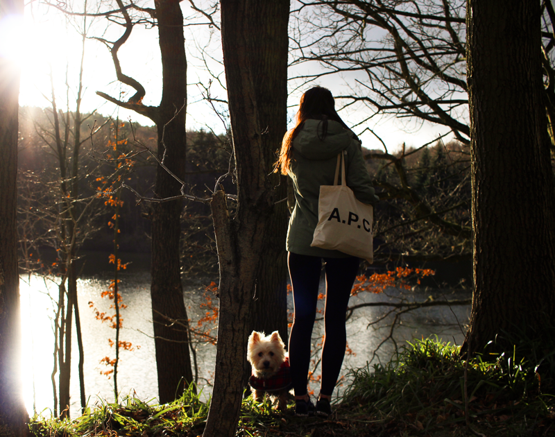 A Slower Season & Staying Happy In Winter 