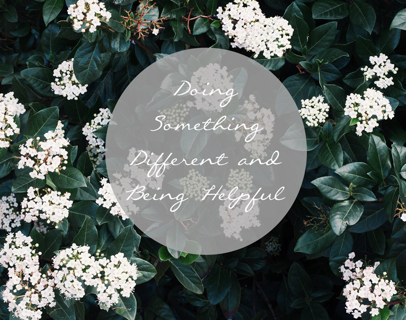 Why I Want To Do Something Different & Be Helpful In The Blogging World