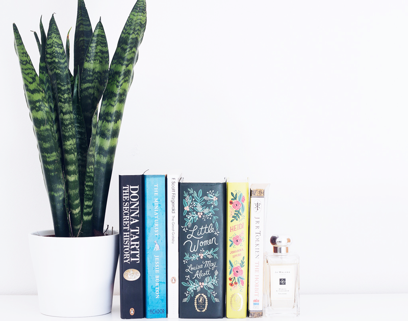 My Favourite Books To Get Lost In 