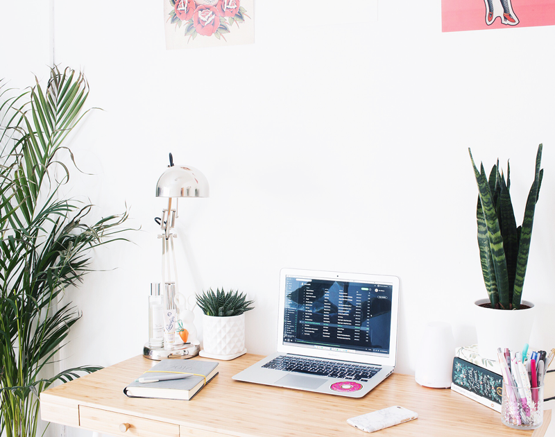 A Guide To Keeping Greenery Growing From A Serial Plant Killer 