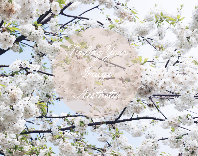 Finding Your Image Aesthetic