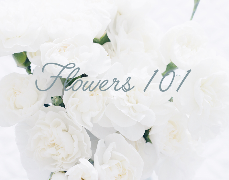 Flowers 101