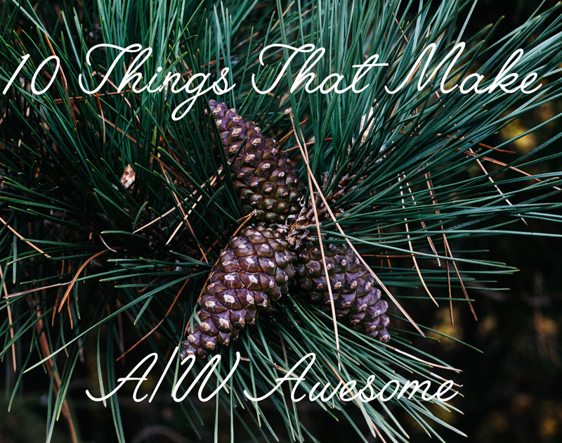 10 Things That Make A/W Awesome