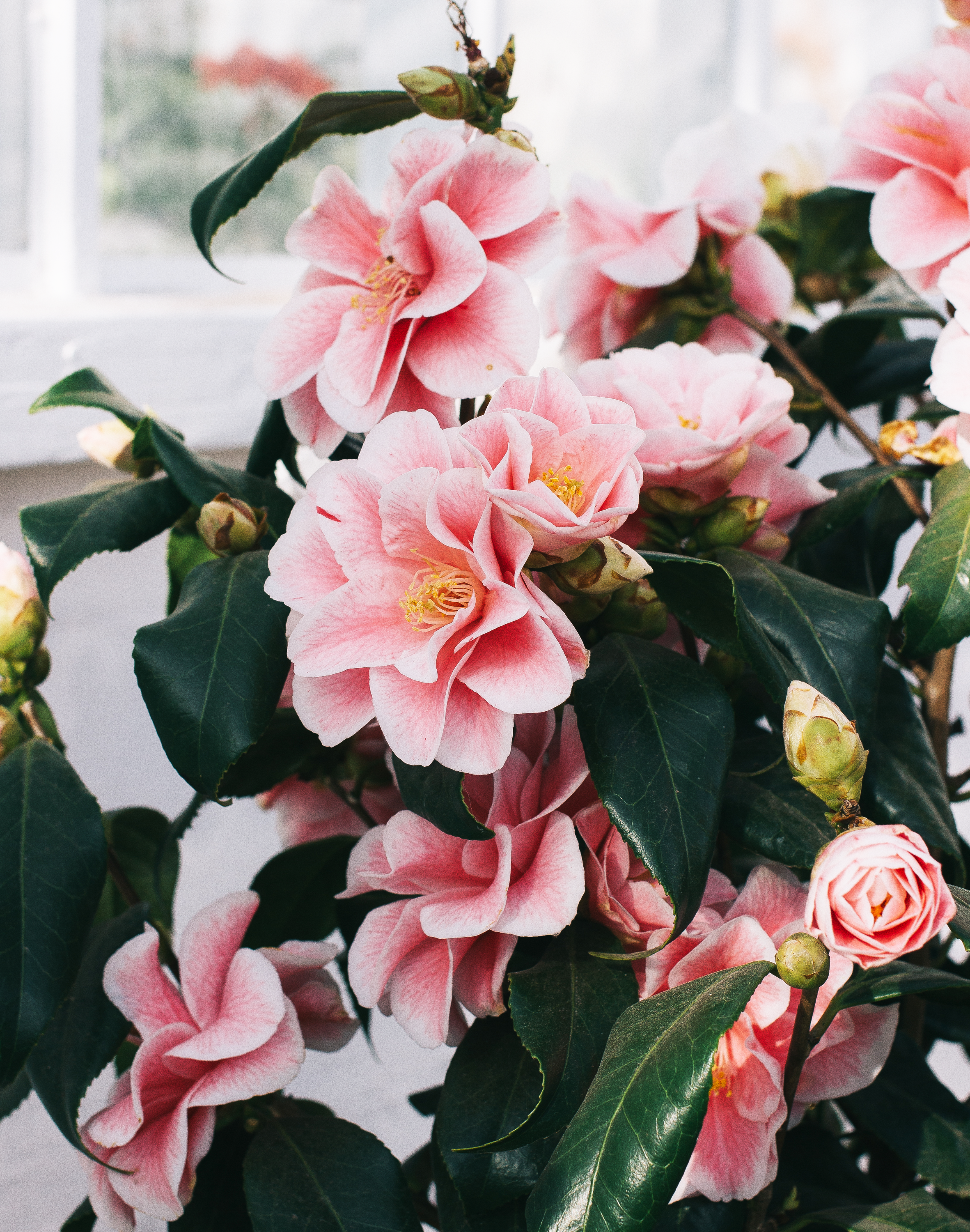 Why Spring Is The Best Season To Get Shit Done