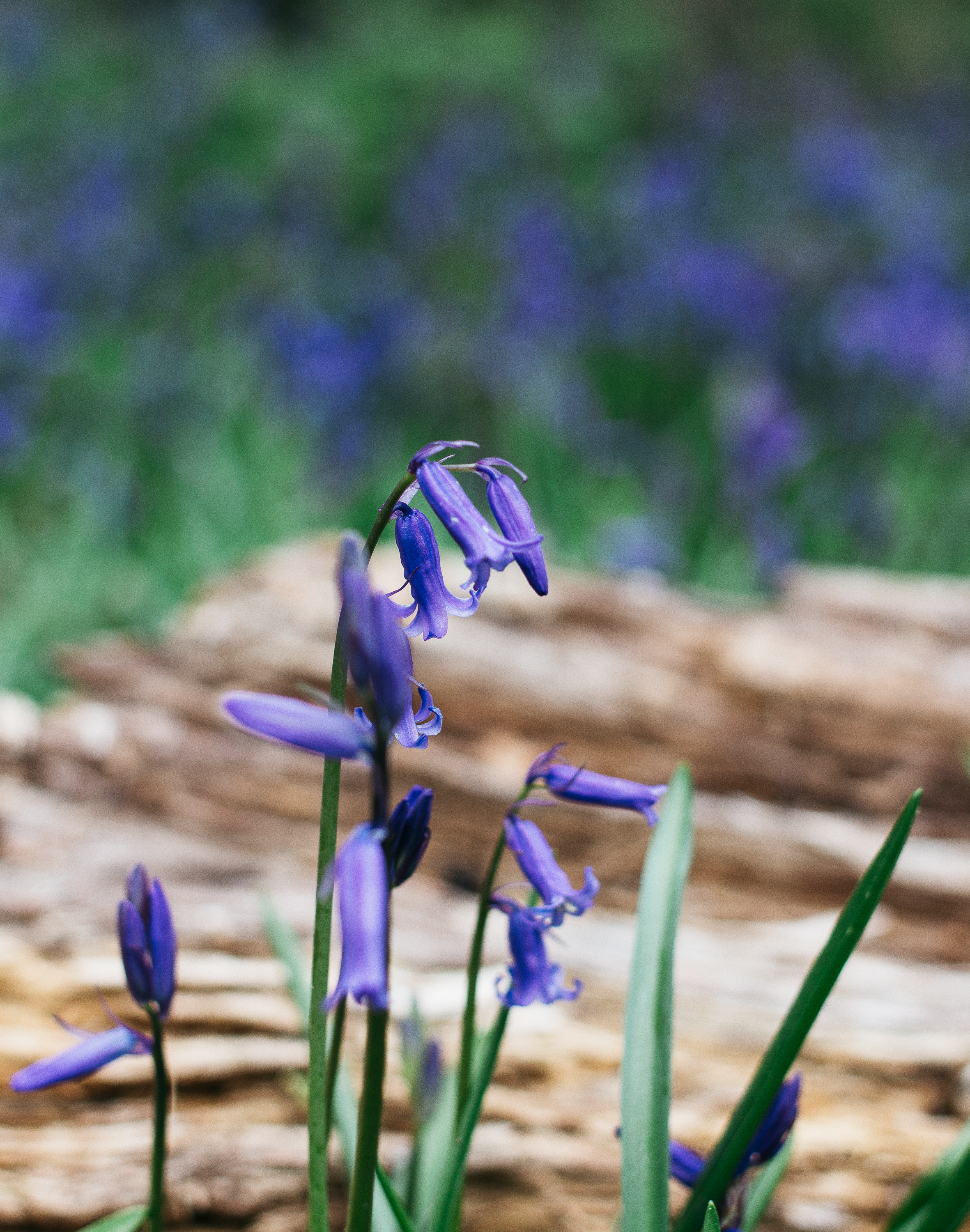 Why I Stopped Keeping Myself Small Because I Was Too Scared To No Longer Be A Wallflower
