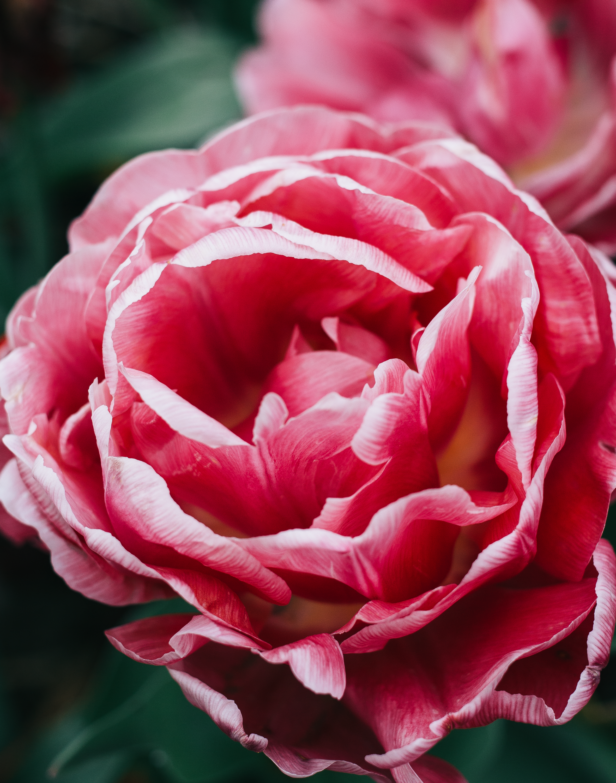 Why I Don't Think Being Mindful Is A Fad & How It's Changed My Life