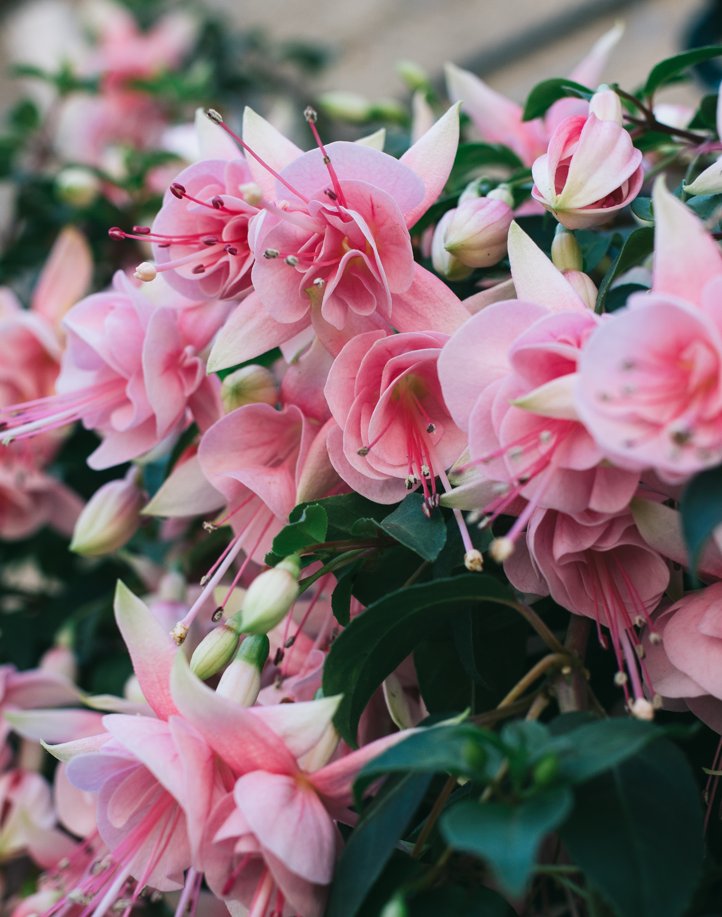 6 Ways To Make Doing Adult Tasks Way More Fun 