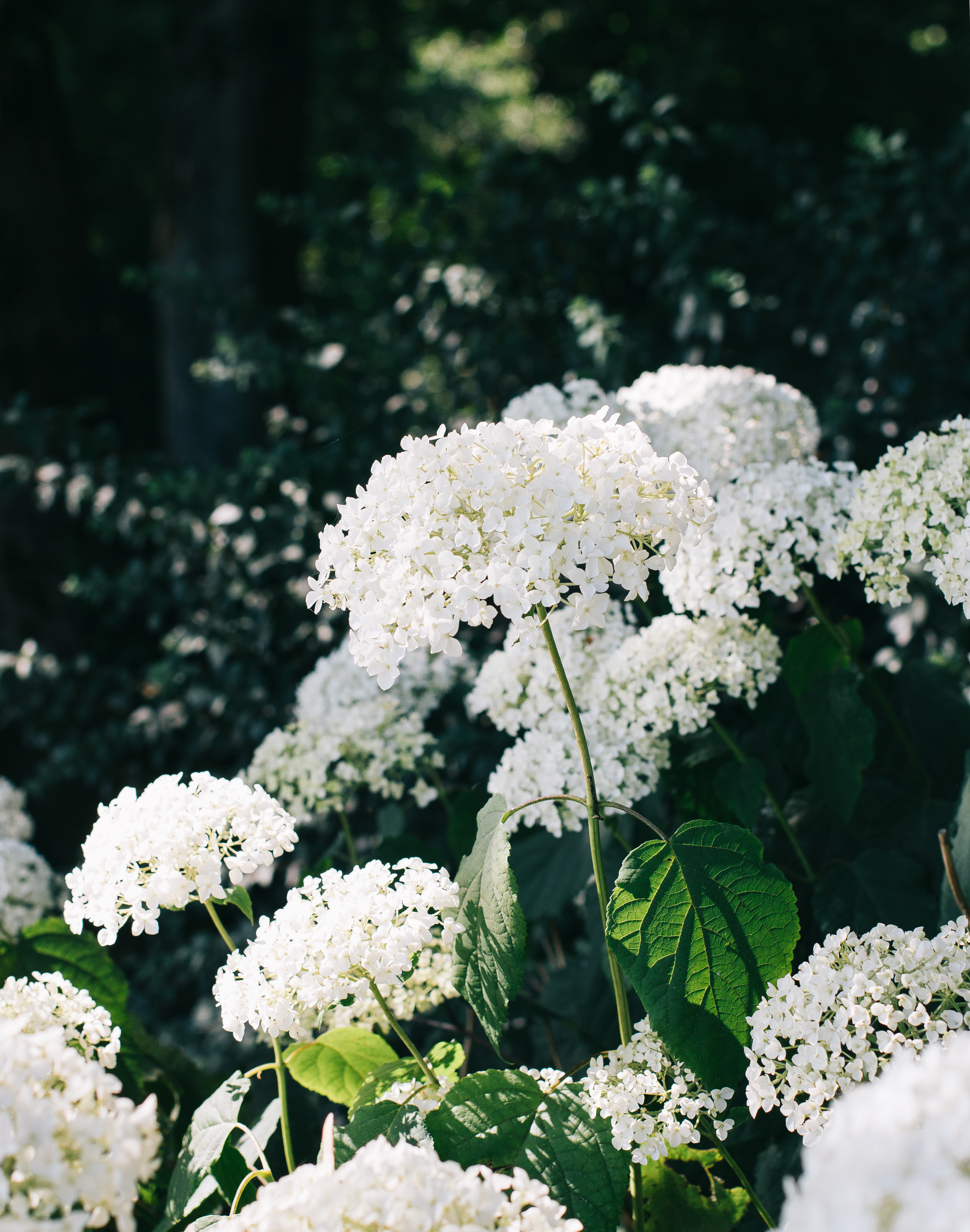 Why I've Given Up Trying To Find A Work Life Balance 