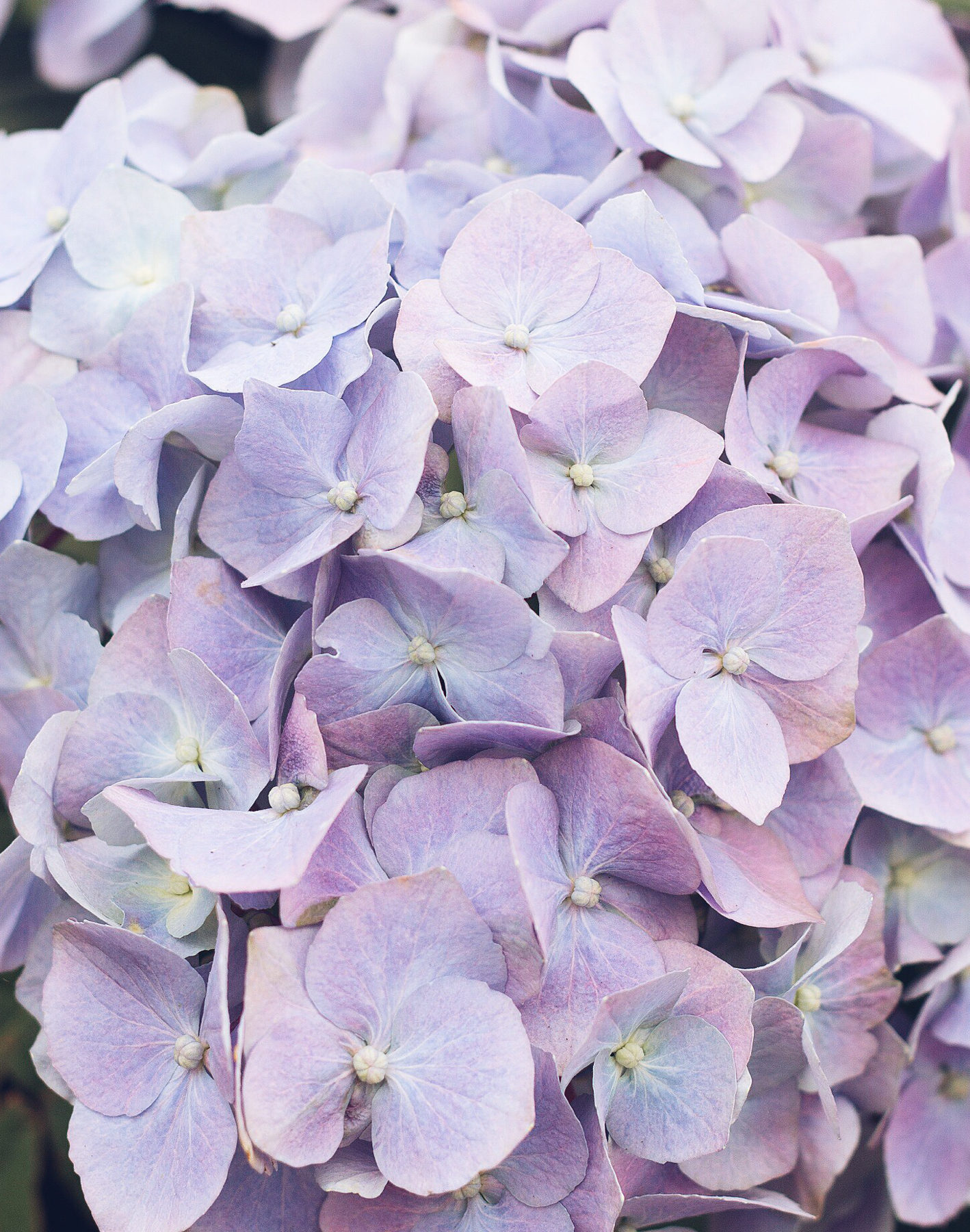 9 Things I'm Going To Be Doing This August