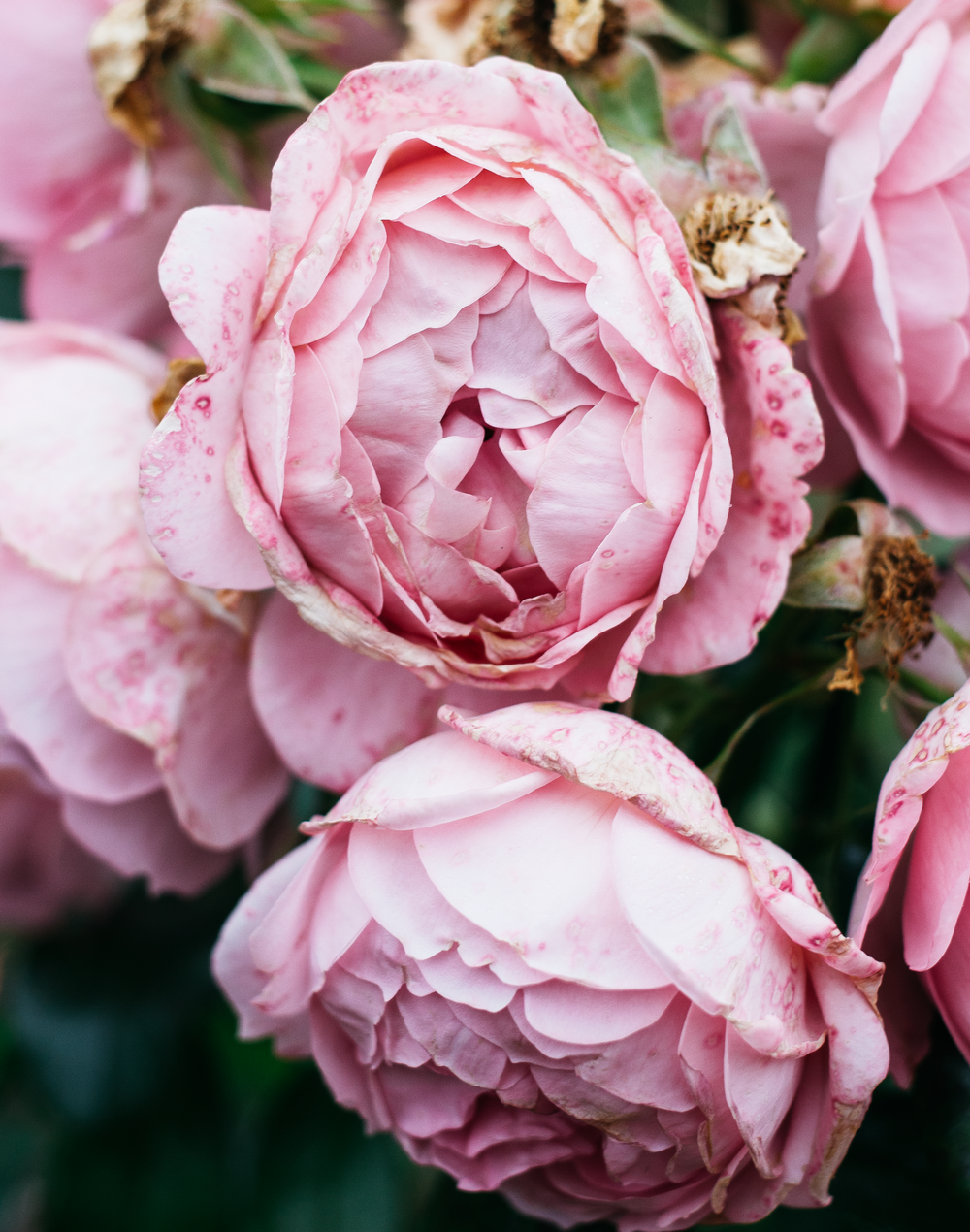 6 Things You Never Have To Prove To Anybody Else 