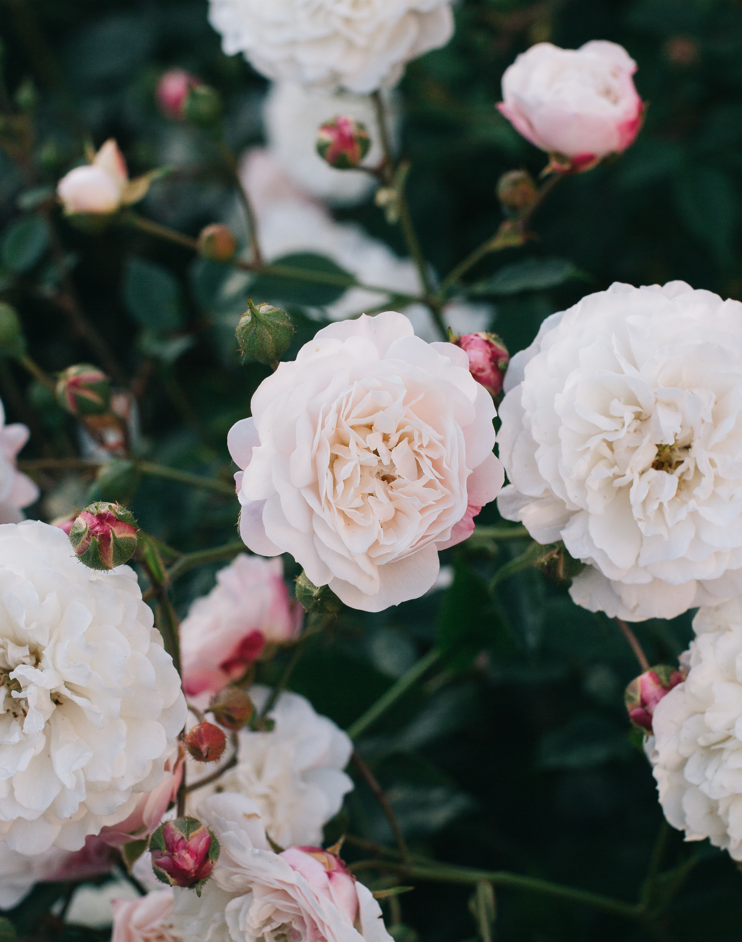 5 Things To Tell Yourself When You Start To Over-Think & Worry Everything