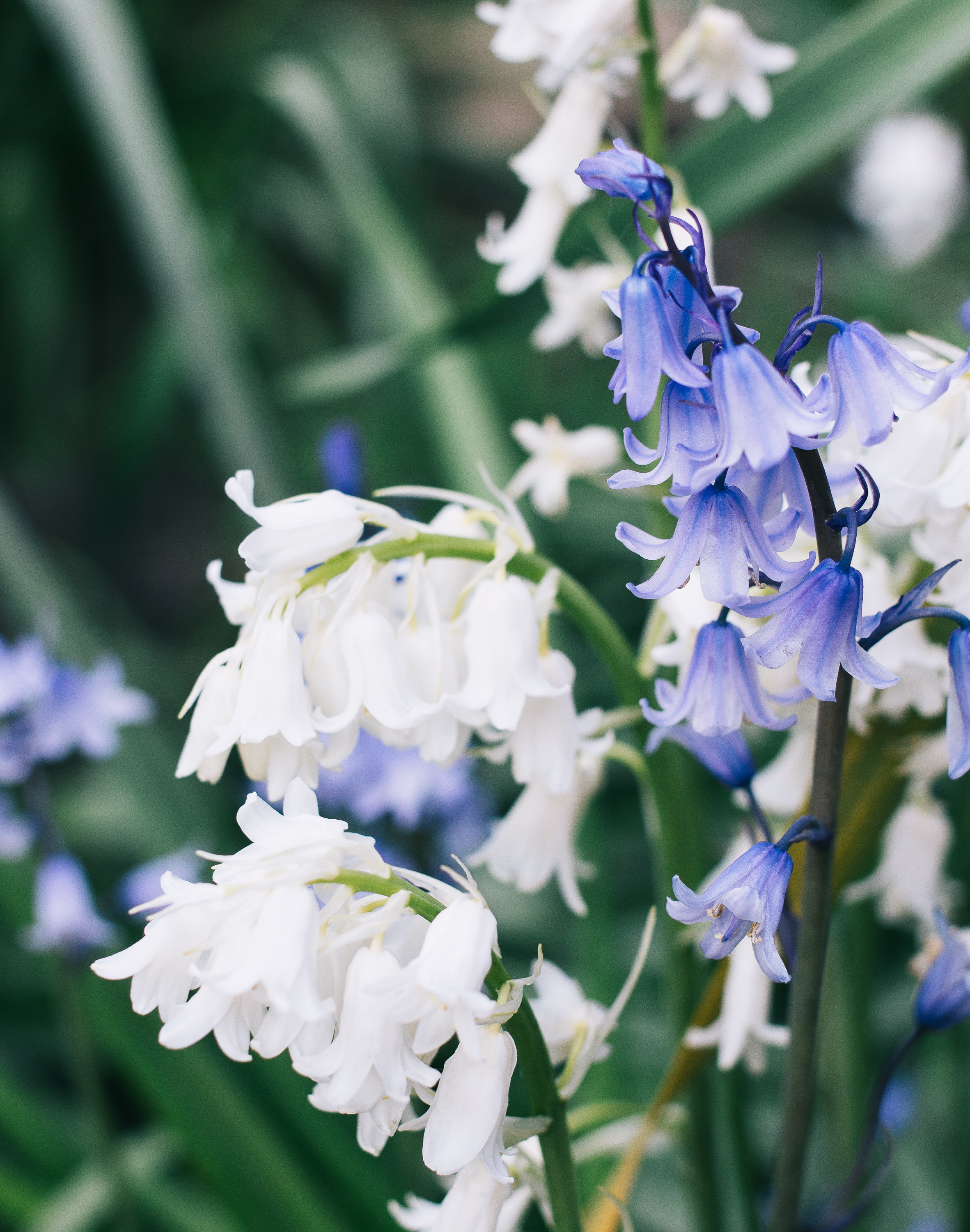 Gaining Confidence In Yourself, Your Choices And Decisions 