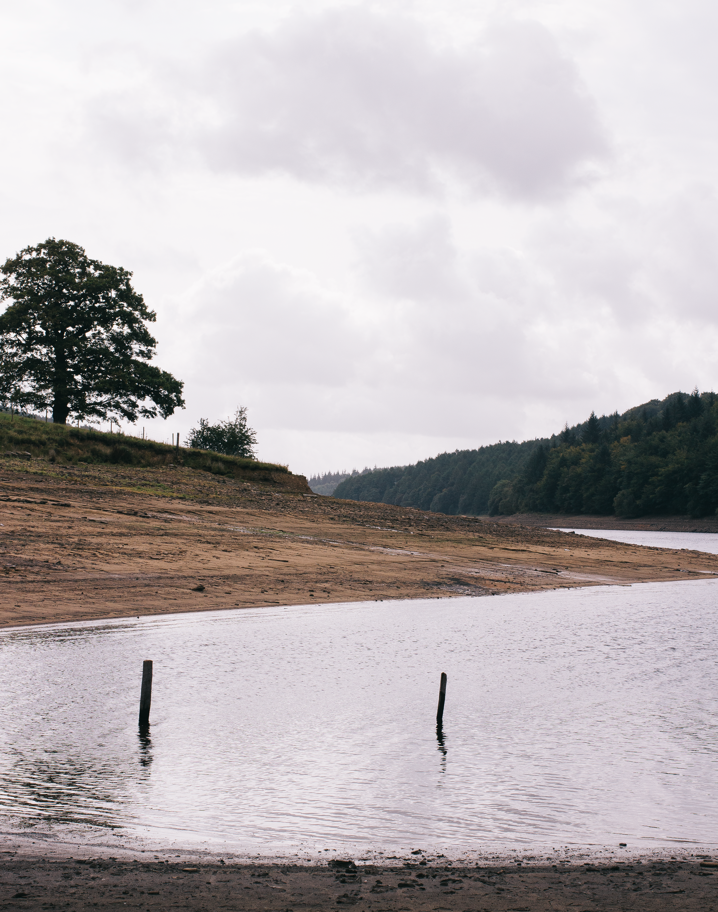 A Few Ways To Stop Feeling So Lonely When You Work For Yourself 